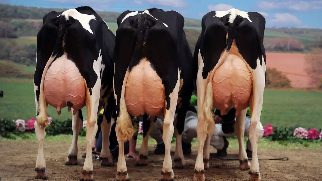 3qvo4534-jpg6979058334735200841