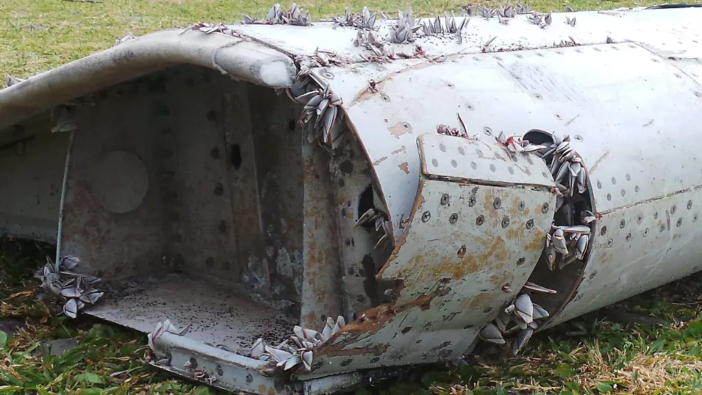 3qvs4647-jpg3744773307392269556