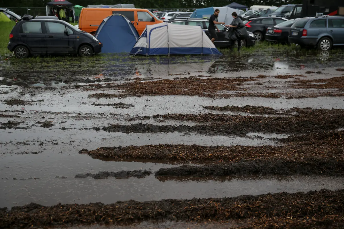 3qvn4306-jpg6615515491979982680