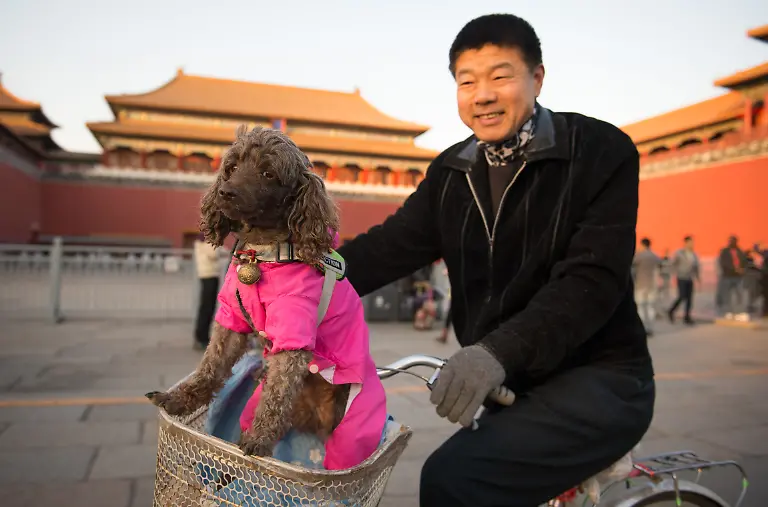 Chinese-mit-Hund