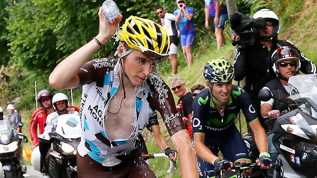 Bardet