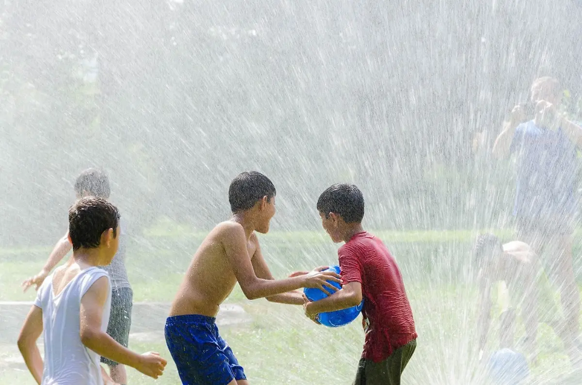 11722268-1582966371969427-9140066416222311925-o