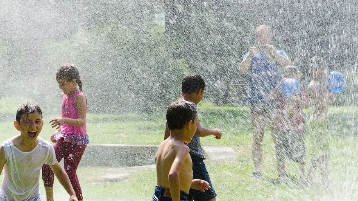 11709887-1582965751969489-2891682229645878217-o