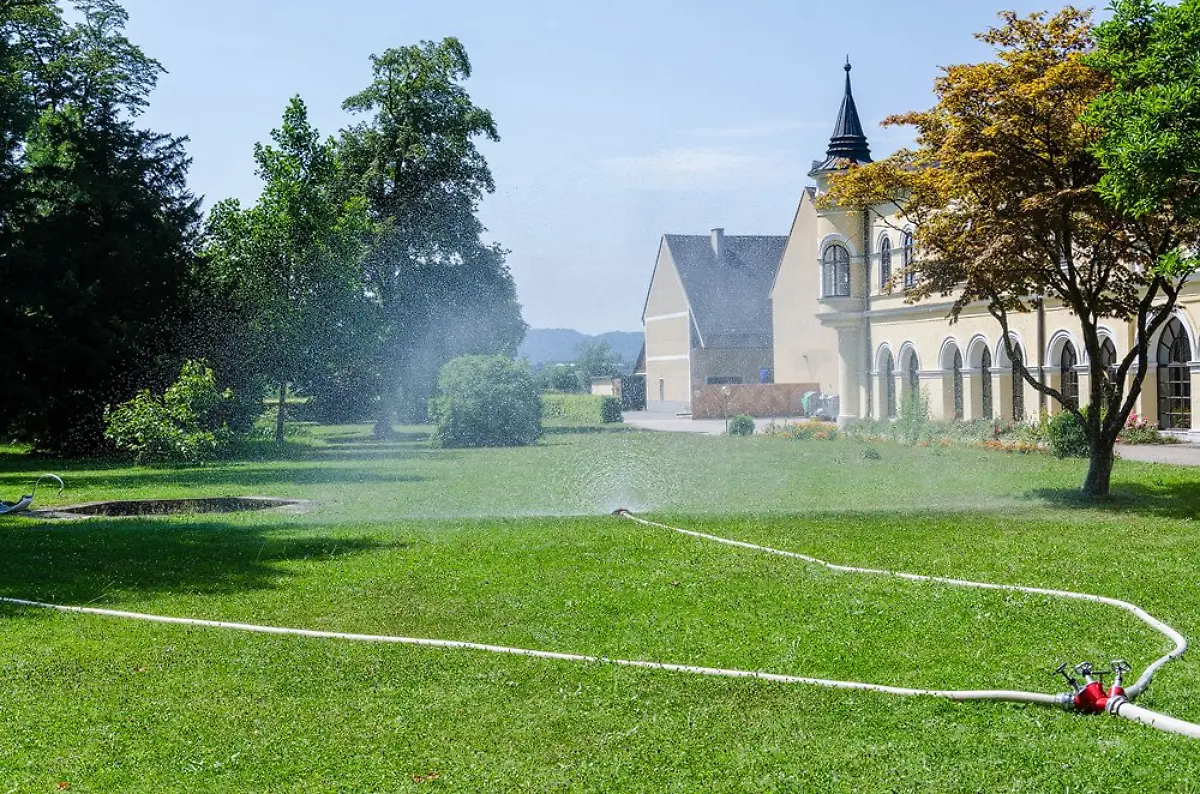 1501018-1582966045302793-8502500780610297676-o