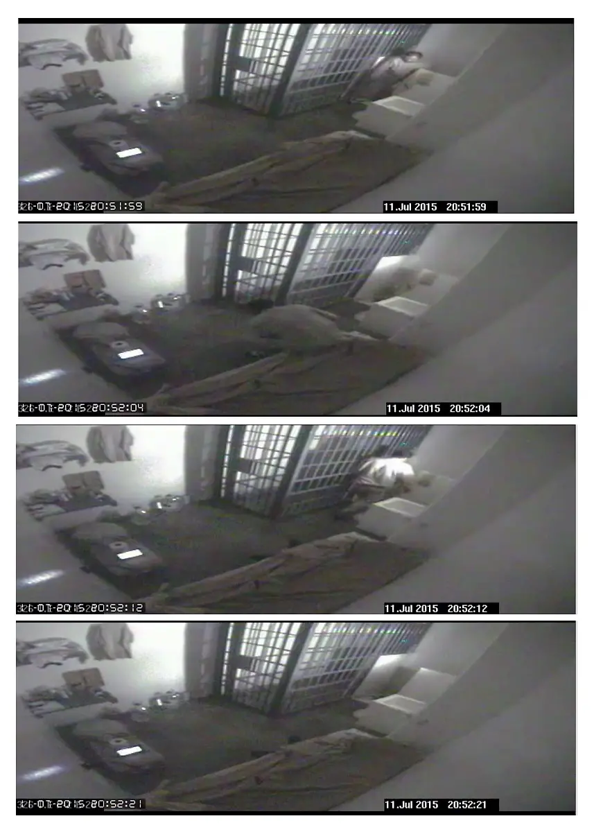 3qlj3107-jpg4581473773704727604