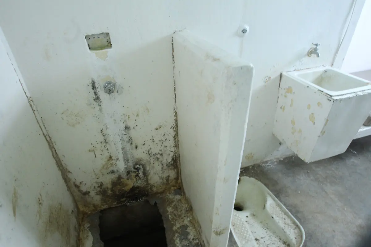 3qm71156-jpg5729041197122673247