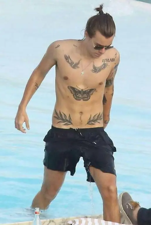 harry-styles-butterfly