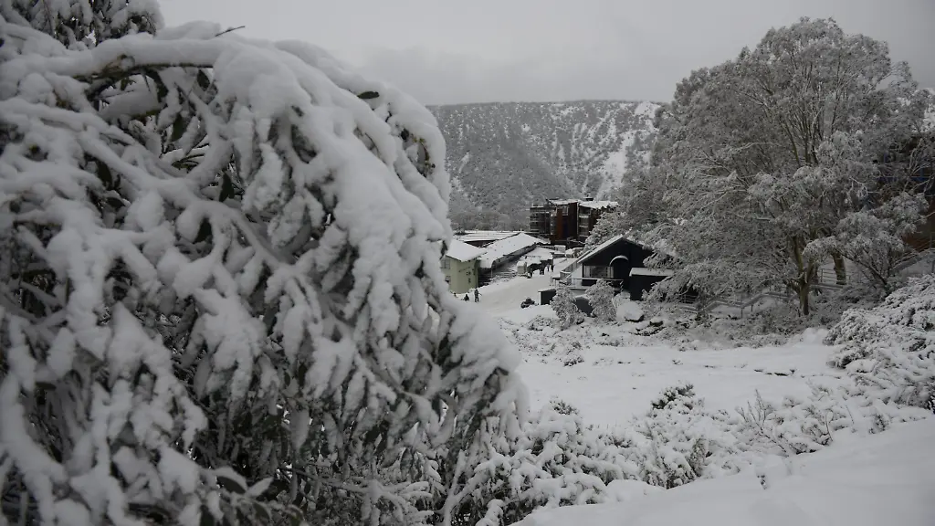 3qjj1946-jpg8025374187304568416