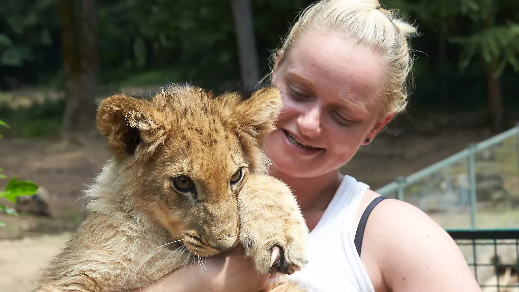 3qfh1144-jpg4289645268024495333