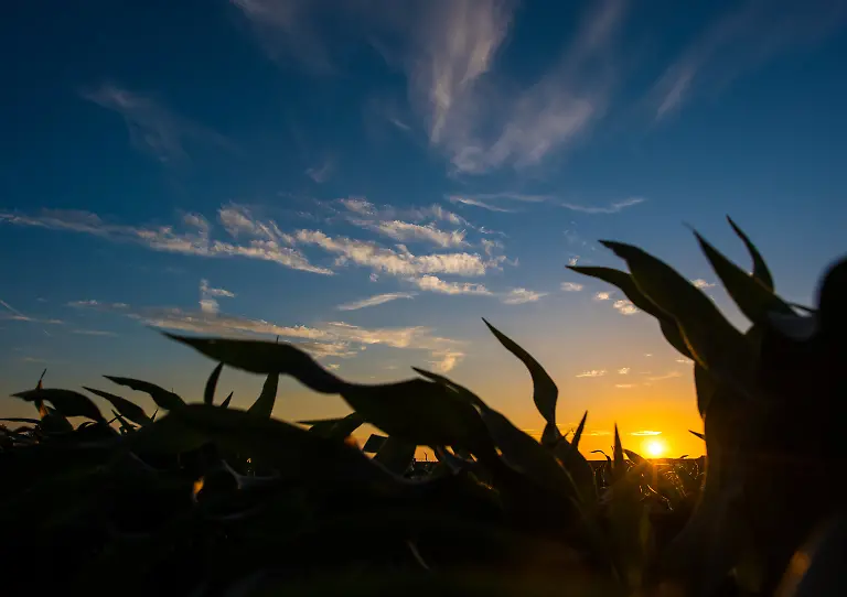 3qct0145-jpg3103770251900439577