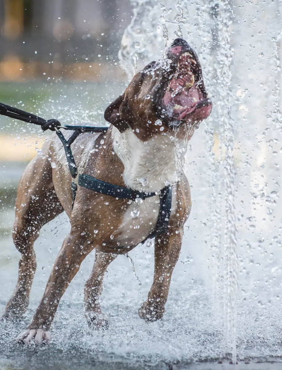 3qct1059-jpg4807711940438886476