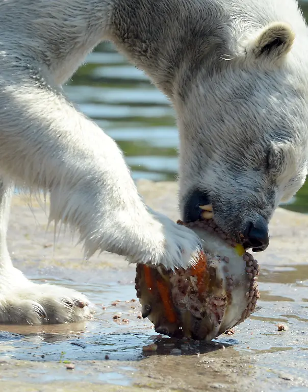 3qd14029-jpg8274695850287343847