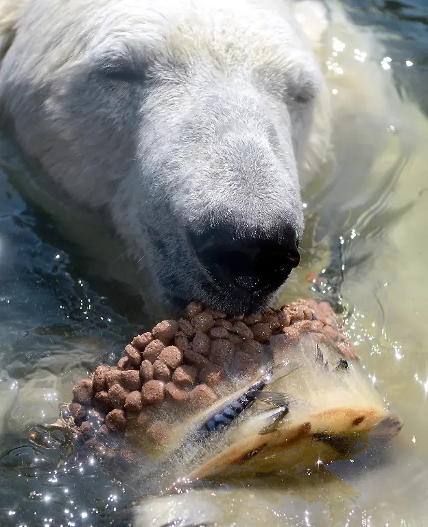 3qd14019-jpg7168044393980029245