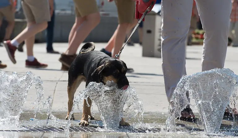 3qd32117-jpg2202645225668870479