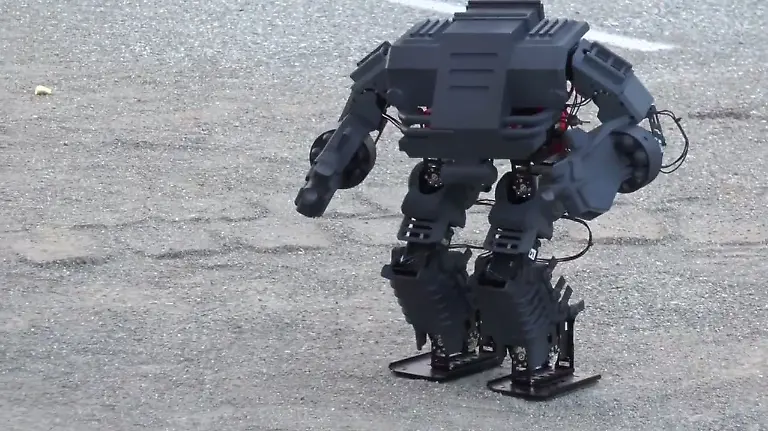Walking-Robot
