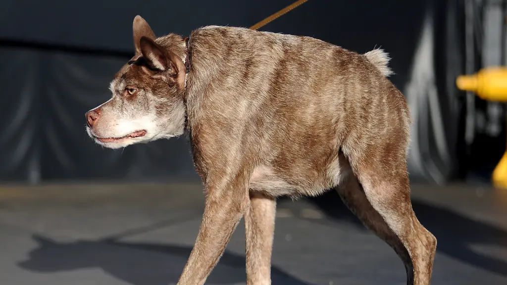 Co3q920711-jpg735035162629440751