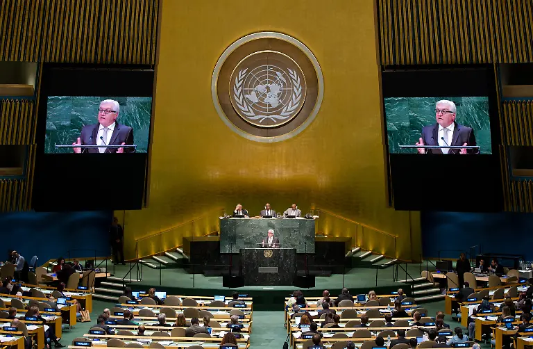 3q5h0025-jpg7848346464645410016