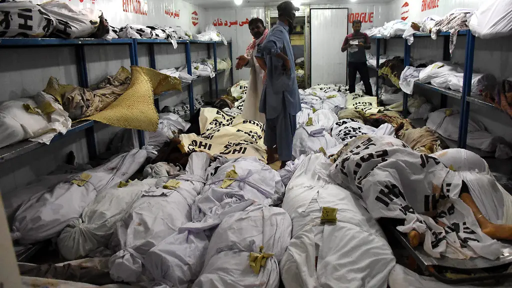 3q6c2559-jpg8362194718846877459