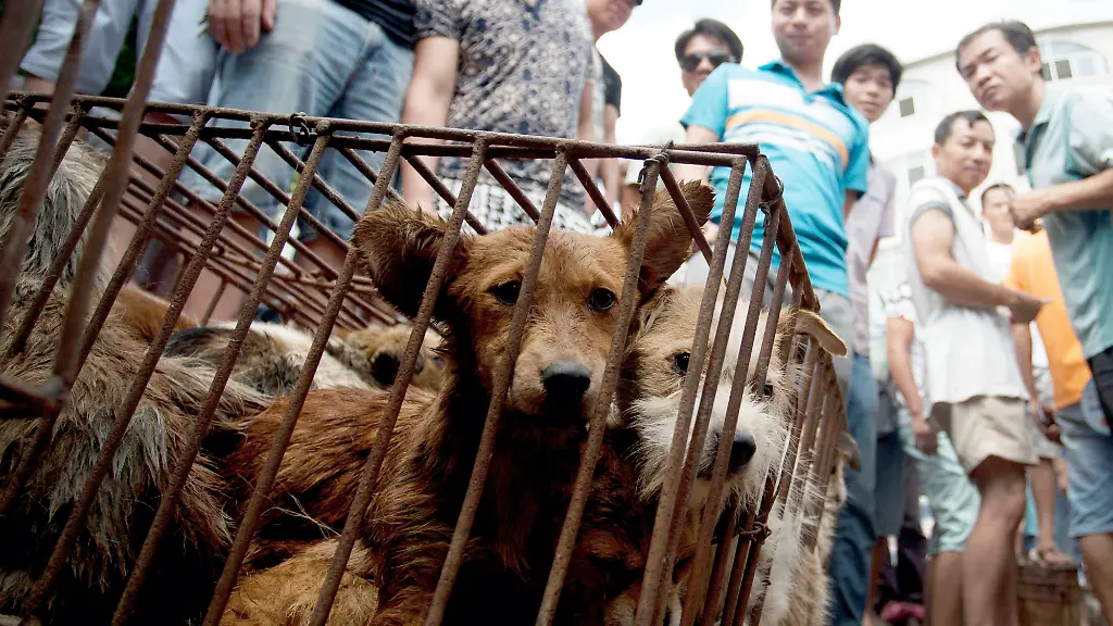 328DAC005B854D83-jpg8532078291845704391