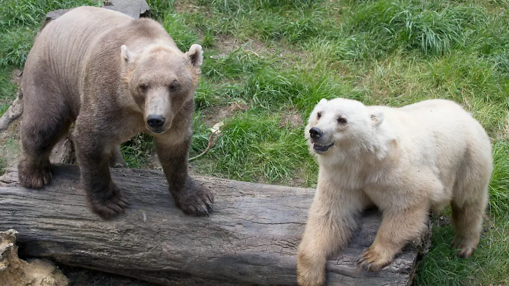 3q0t1352-jpg4388271404218157725