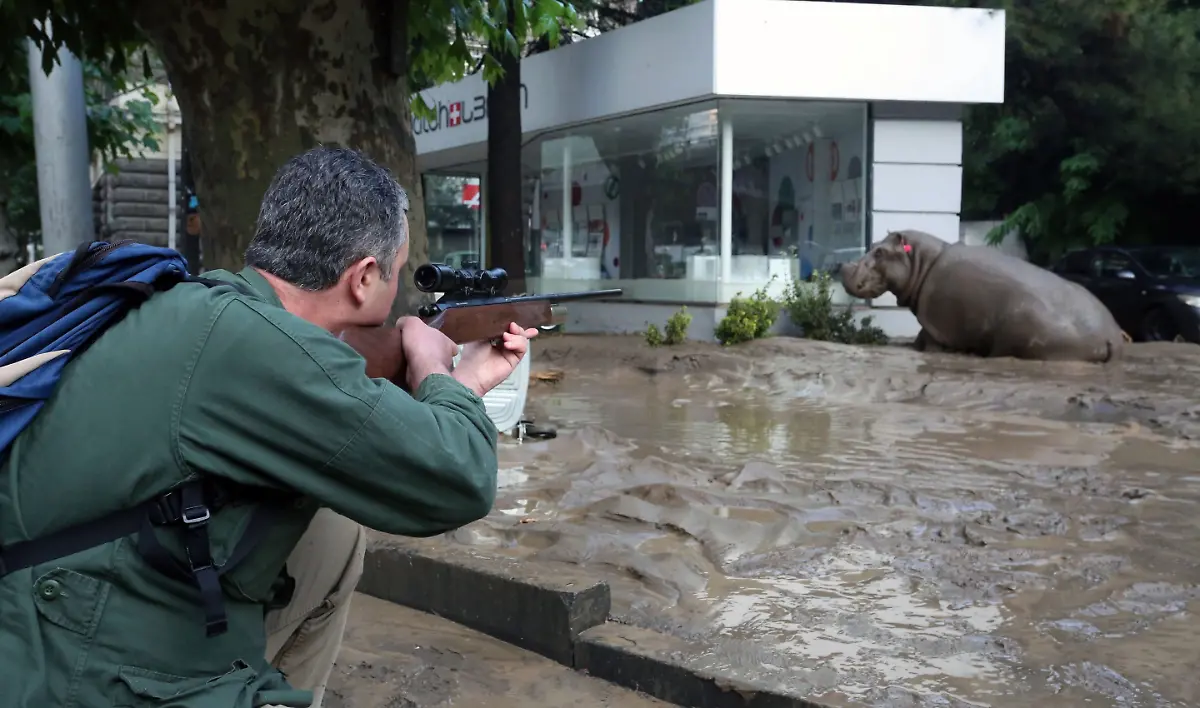 3q0b3552-jpg3926624166557360517