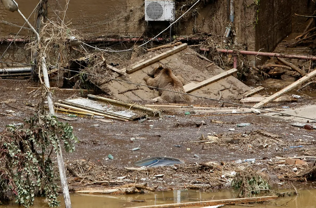 328D9C005489F745-jpg7469110253101186506