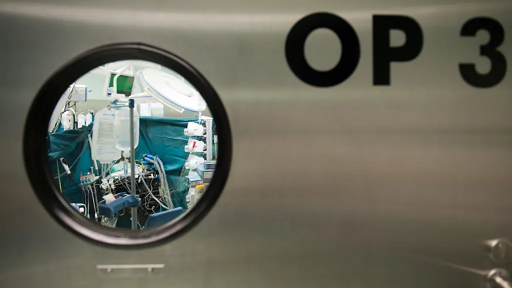 3pxl3241-jpg3417634259537215952