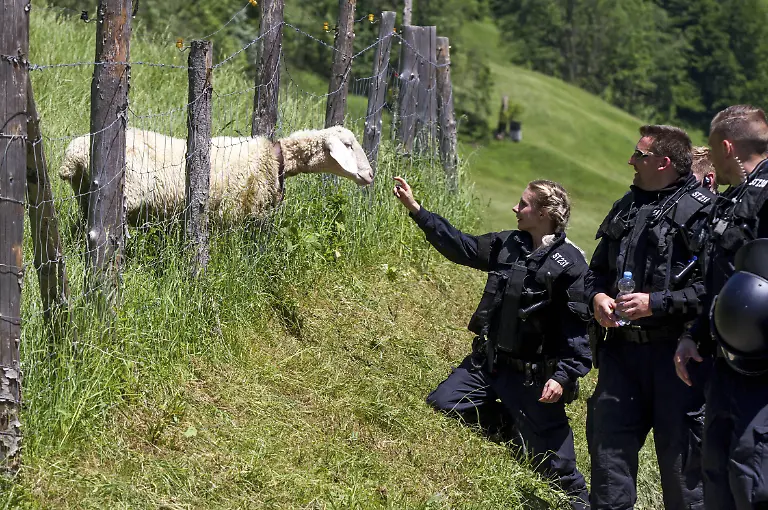 imago-st-0608-08240001-64759007-jpg4480266579941243013