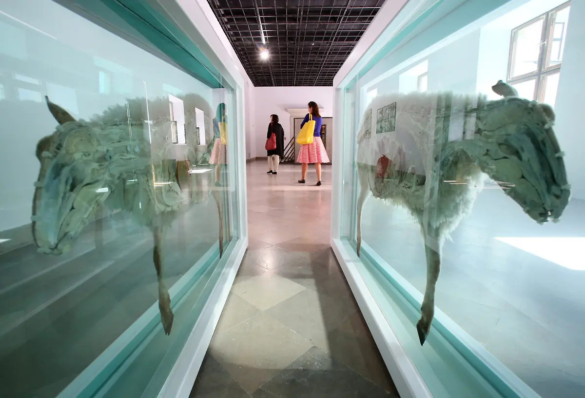 3prh1049-jpg4013245603736292670