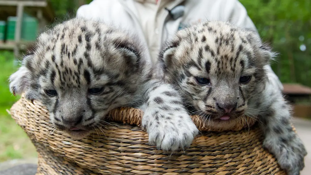 328D7600666C3E5F-jpg440353764414921179