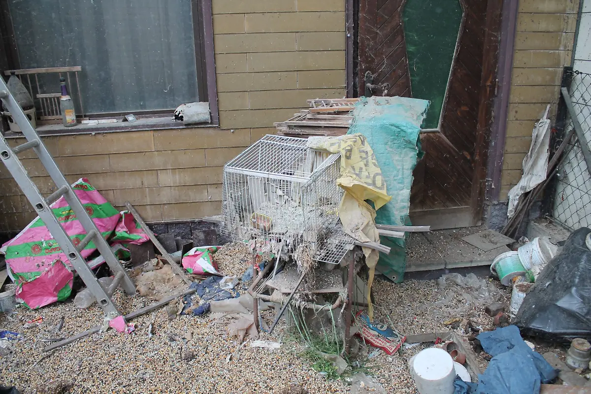 Taubenkaefig-Garten-2