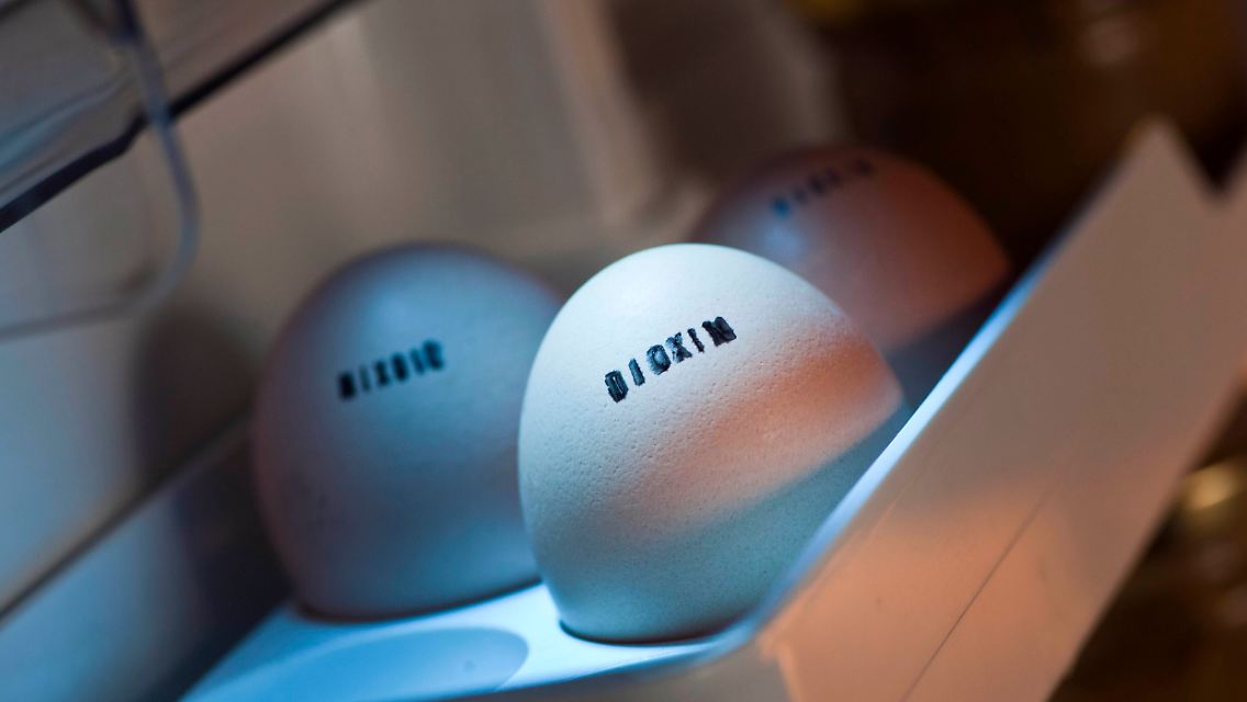 Eier_Dioxin.jpg