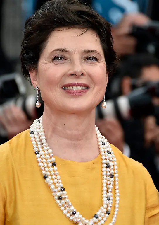 3pj85502-jpg3591373420403795119