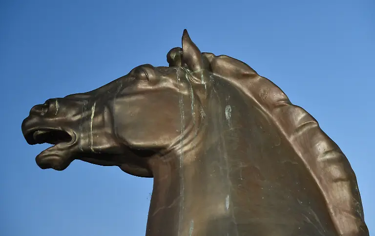 3pkm1201-jpg8400716303439370149