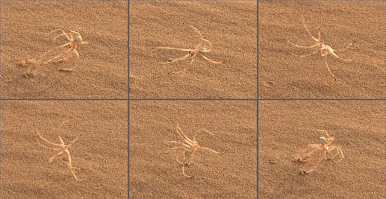 3pk80026-jpg4305103939371224178