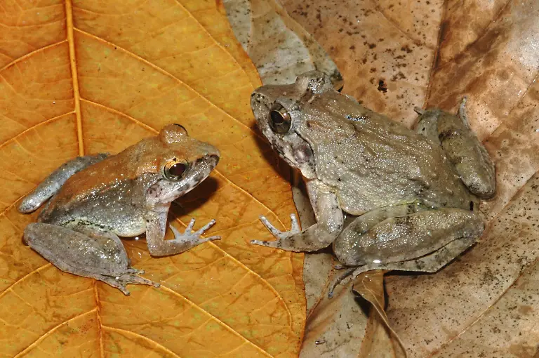 3pk80033-jpg2153091709573350158