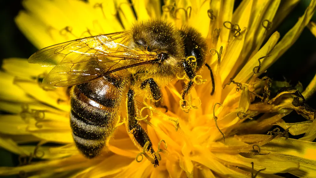 3pjh0817-jpg5459345994269268716