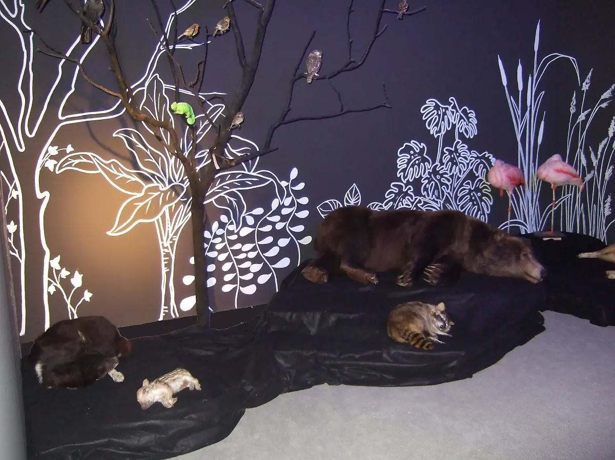 25-SchlafendeTiere-kl-C-Fialla-LWL