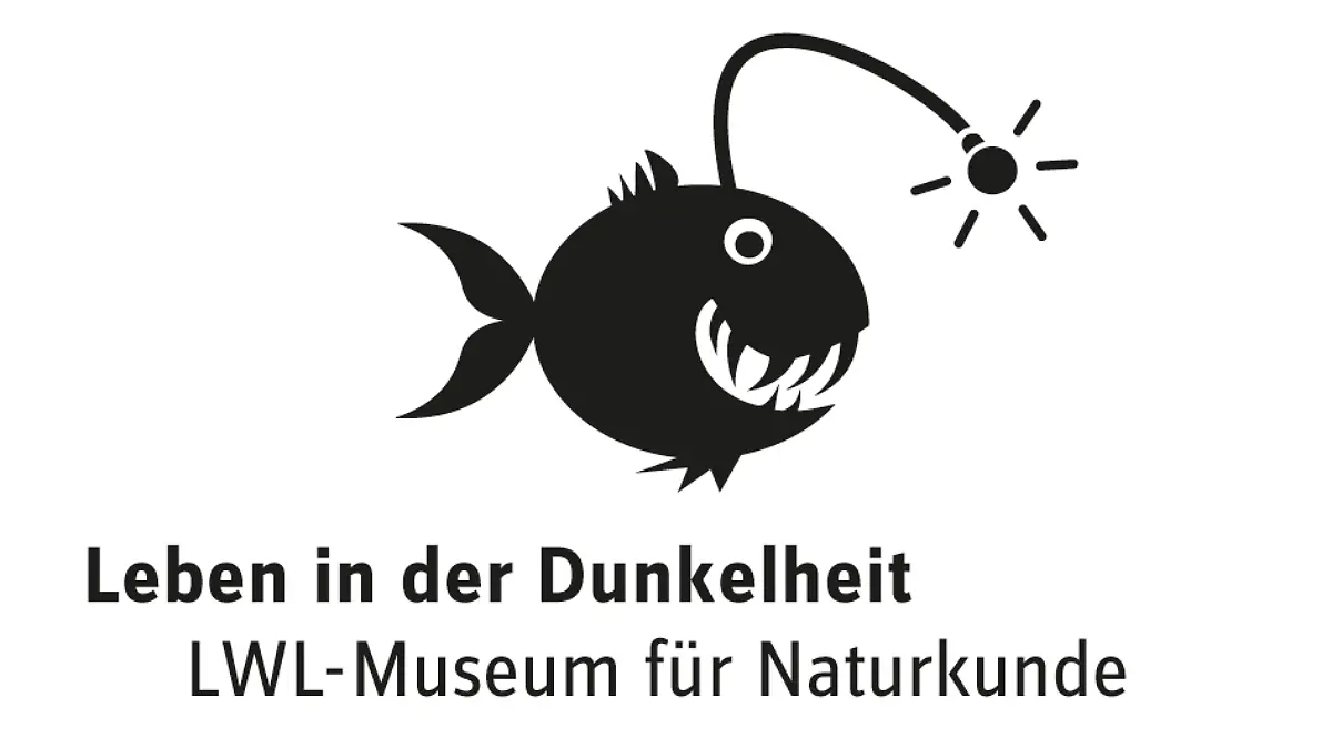 Logo-Ausstellung-Dunkelheit-C-Grafik-Lohmann