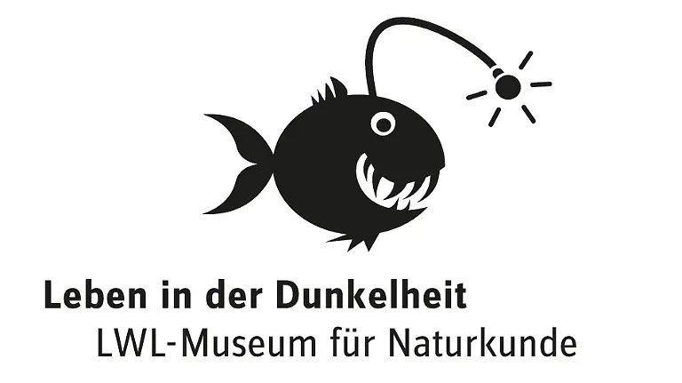 Logo-Ausstellung-Dunkelheit-C-Grafik-Lohmann