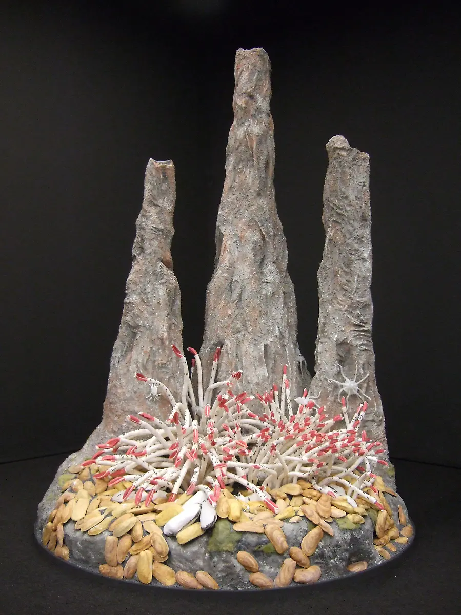 23-BlackSmoker-C-LWL-Steinweg