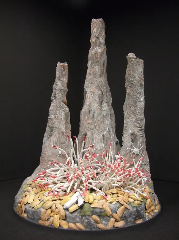 23-BlackSmoker-C-LWL-Steinweg