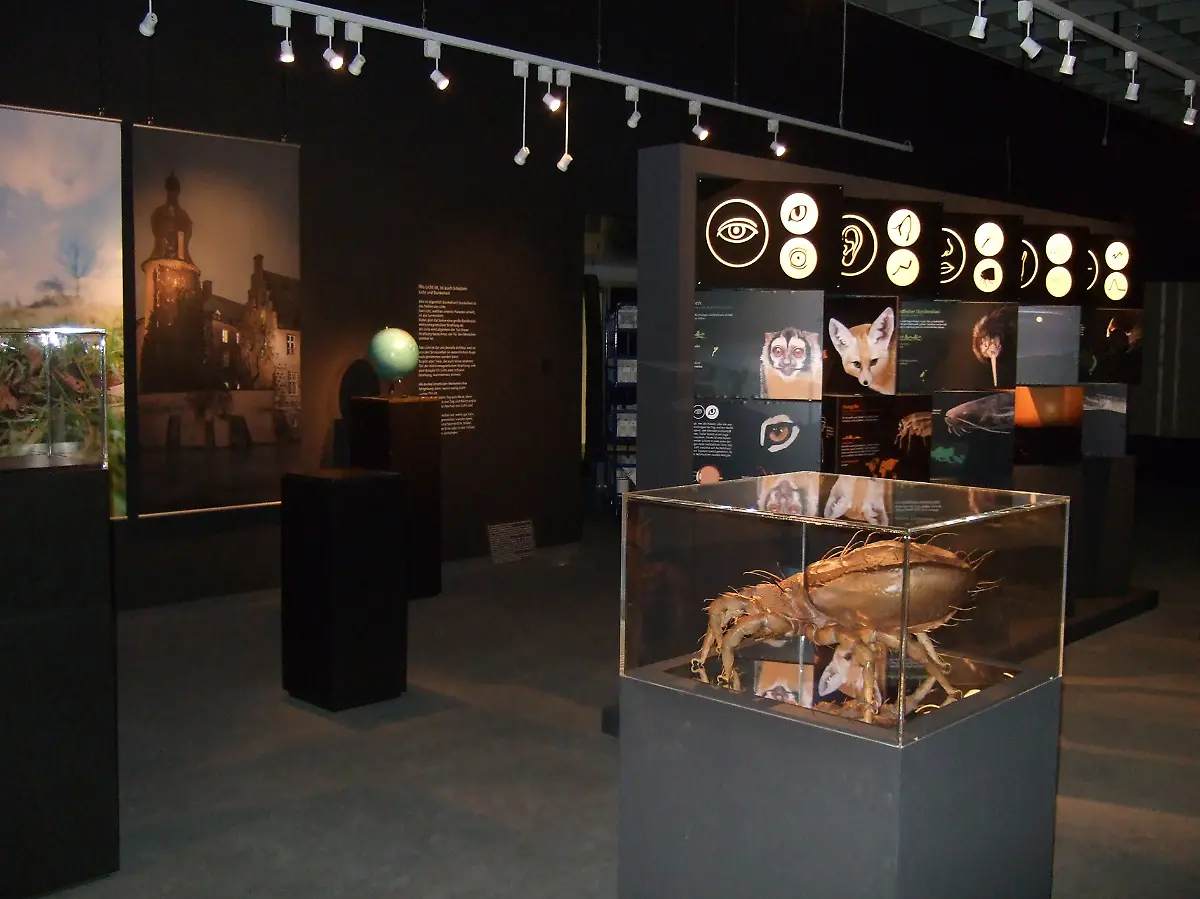 17-LebenDunkelheit02-C-LWL-Fialla