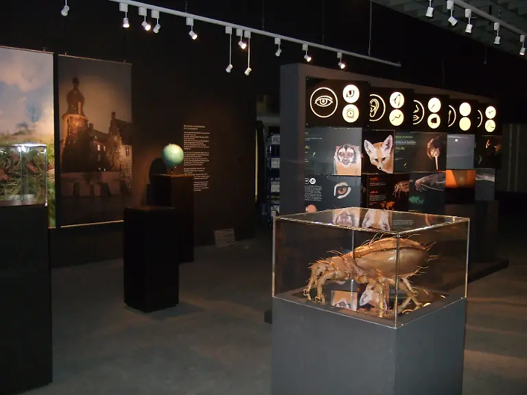 17-LebenDunkelheit02-C-LWL-Fialla