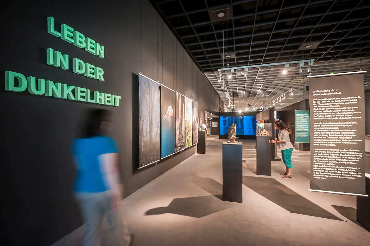 15-Besucher03-c-Steinweg-LWL