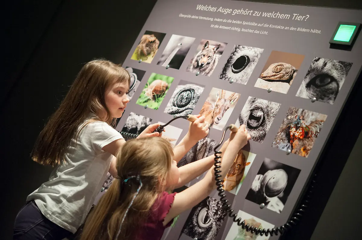 10-Kinder-03-c-Steinweg-LWL