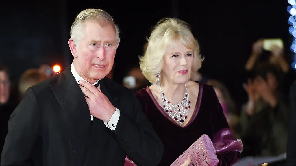 3pfo4010-jpg8053306939548845086