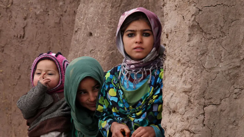 3paa3121-jpg8261718917900033350