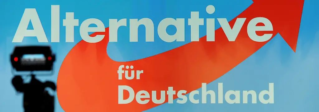 Bild zum Thema AfD