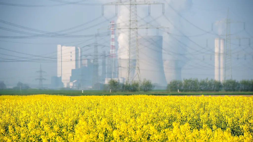 3p1m2056-jpg9150216424449098382